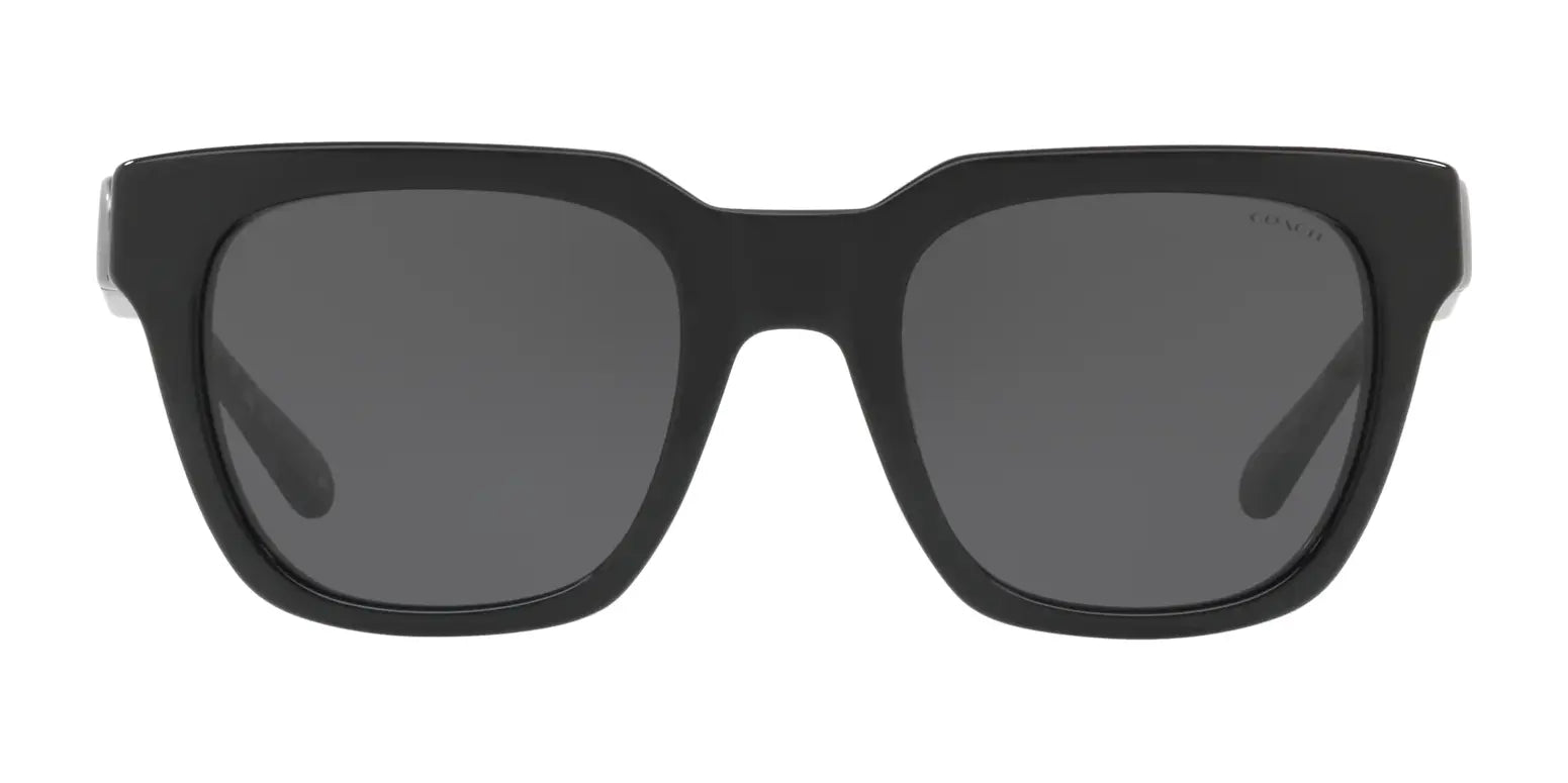 Coach L1029 HC8240F Sunglasses | Size 52 Coach L1029 HC8240F Sunglasses | Size 52