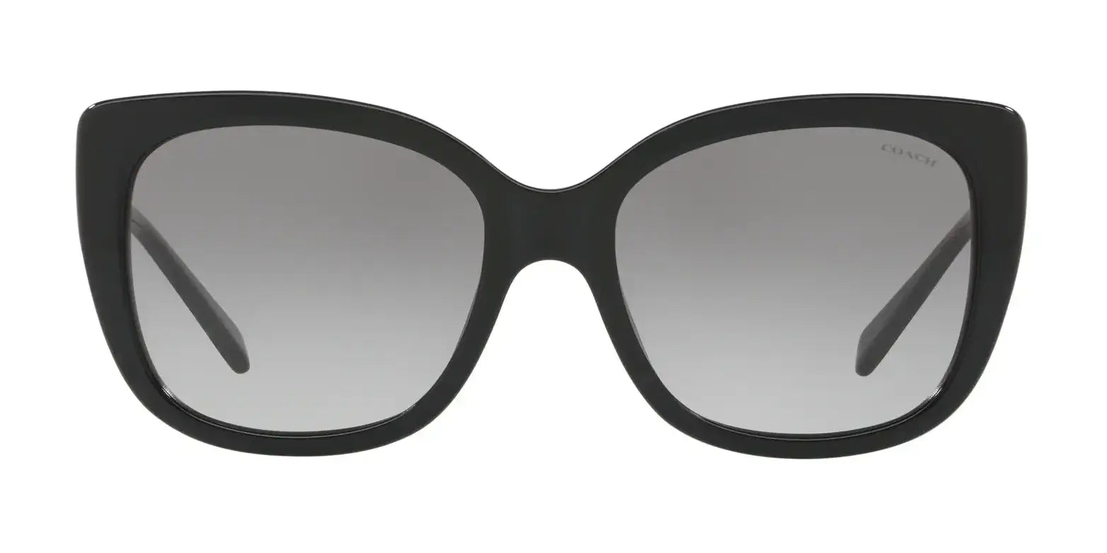 Coach L1041 HC8246F Sunglasses | Size 55 Coach L1041 HC8246F Sunglasses | Size 55