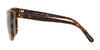 Coach L1059 HC8261 Sunglasses | Size 56 / Black Tortoise Laminate №544687 / Dark Grey (3N 10%)