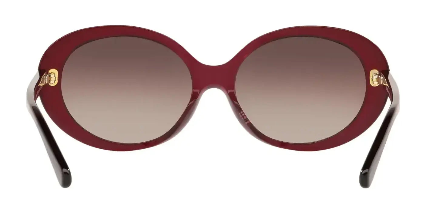 Coach L1100 HC8270U Sunglasses | Size 55 Coach L1100 HC8270U Sunglasses | Size 55