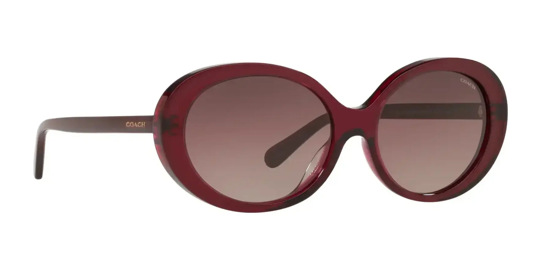 Coach L1100 HC8270U Sunglasses | Size 55 Coach L1100 HC8270U Sunglasses | Size 55