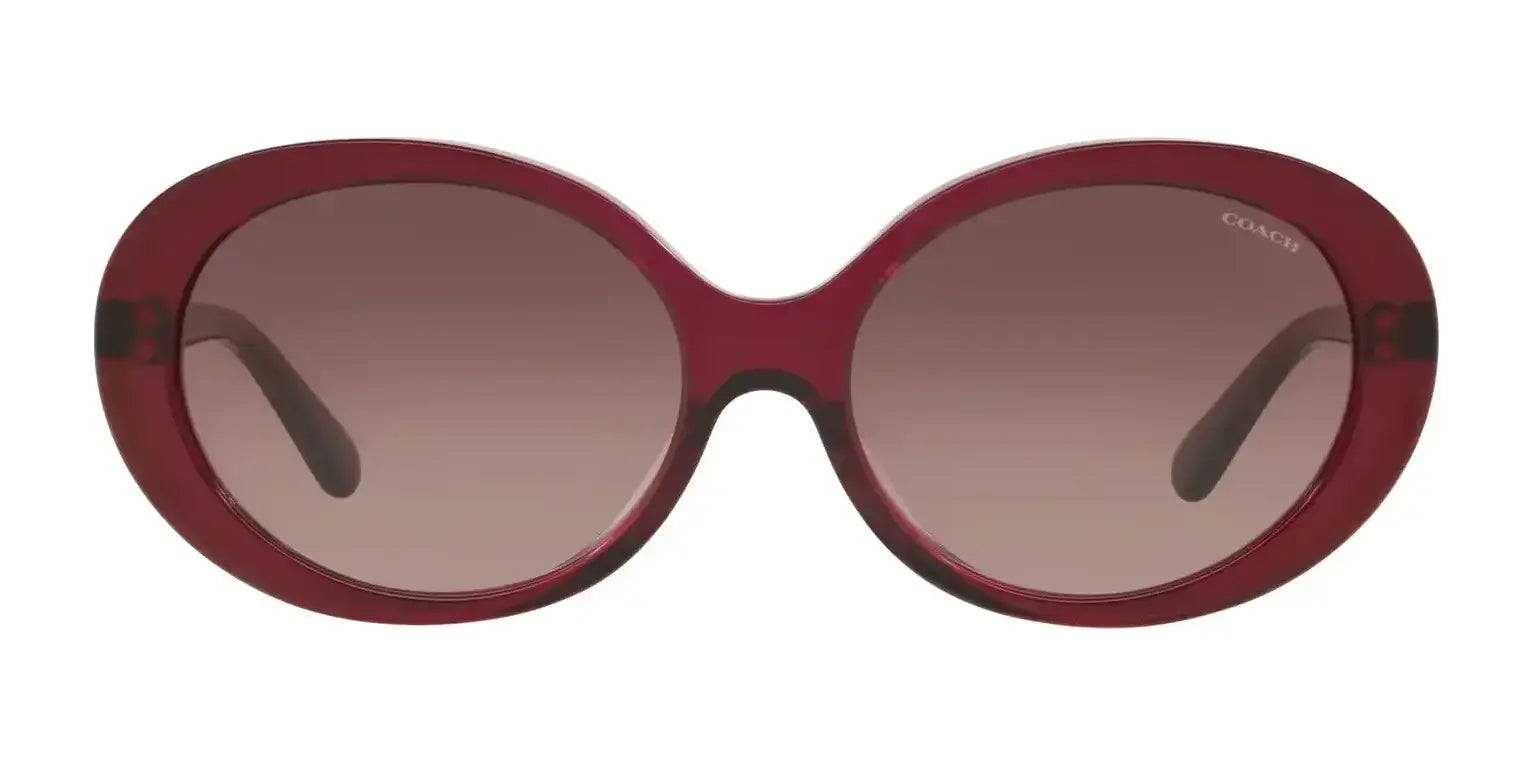 Coach L1100 HC8270U Sunglasses | Size 55 Coach L1100 HC8270U Sunglasses | Size 55