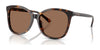 Coach L1101 HC8271U Sunglasses | Size 57 / Dark Tortoise / Dark Brown (3N 14.5%) №512073