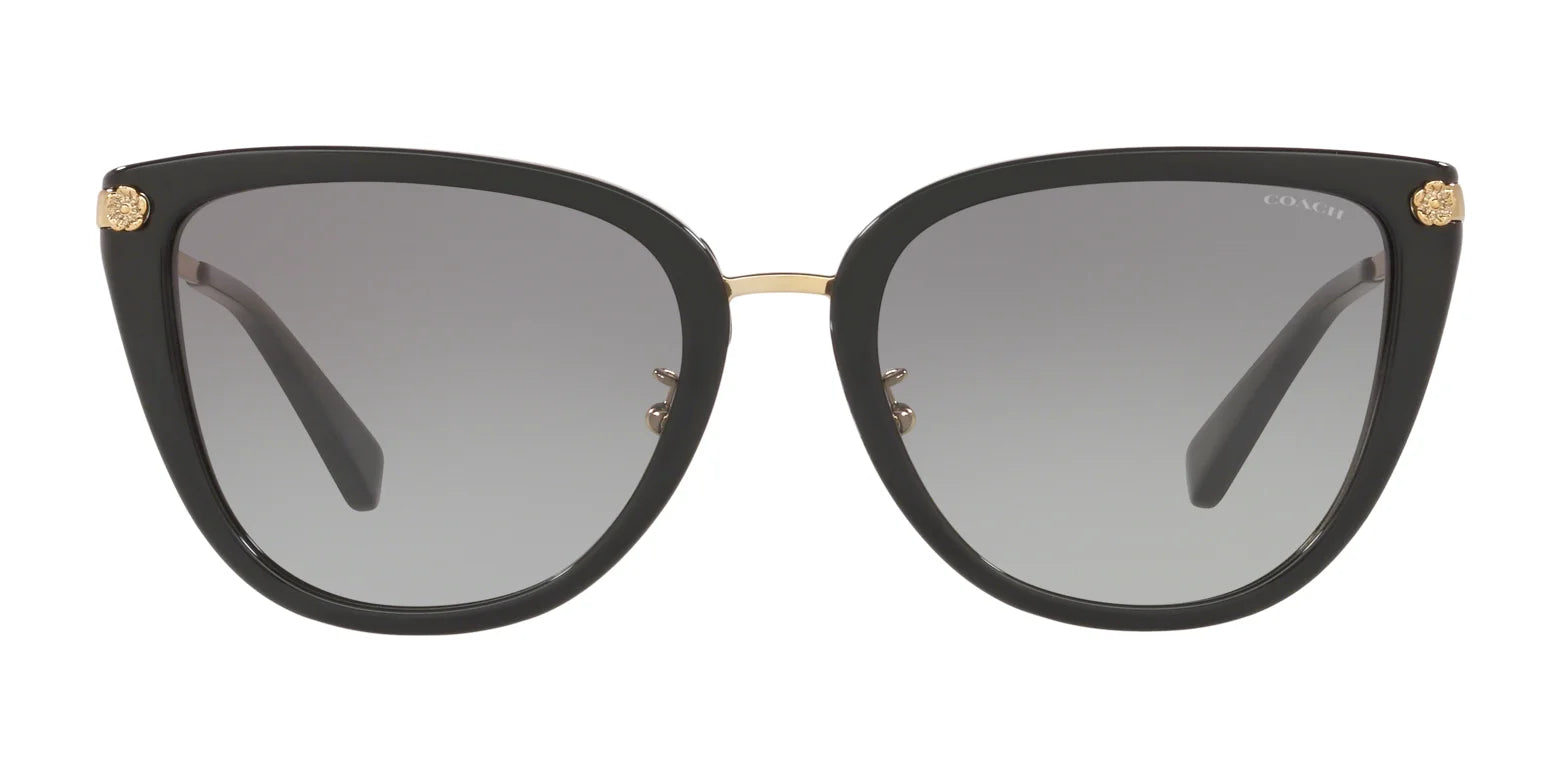 Coach L1099 HC8276 Sunglasses | Size 56 Coach L1099 HC8276 Sunglasses | Size 56