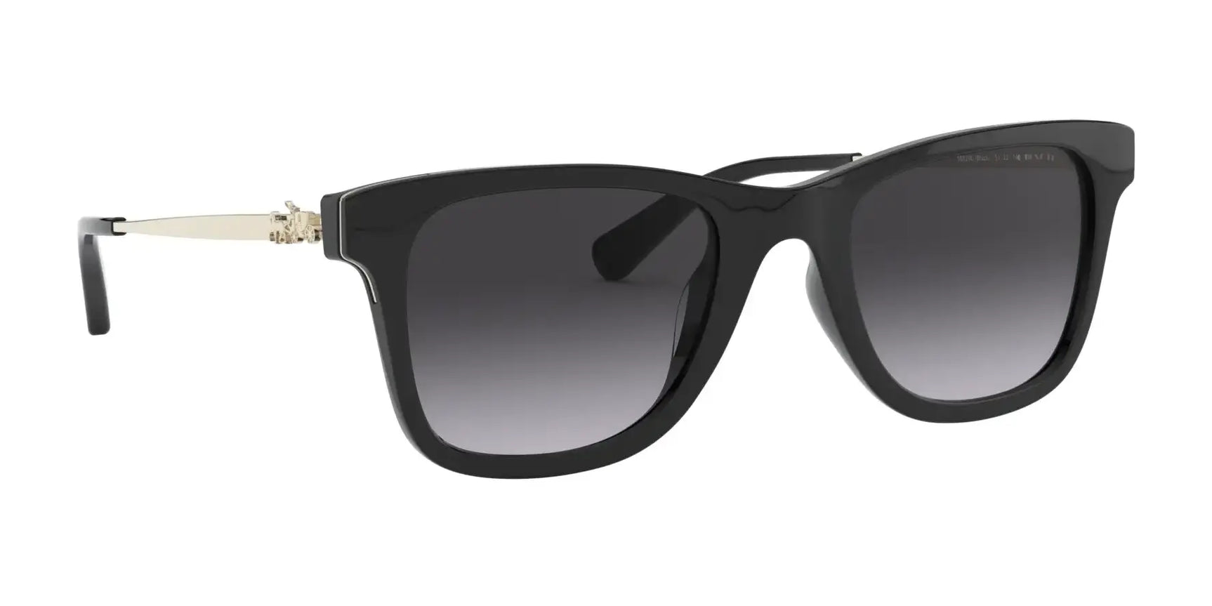 Coach L1115 HC8279U Sunglasses | Size 51 Coach L1115 HC8279U Sunglasses | Size 51
