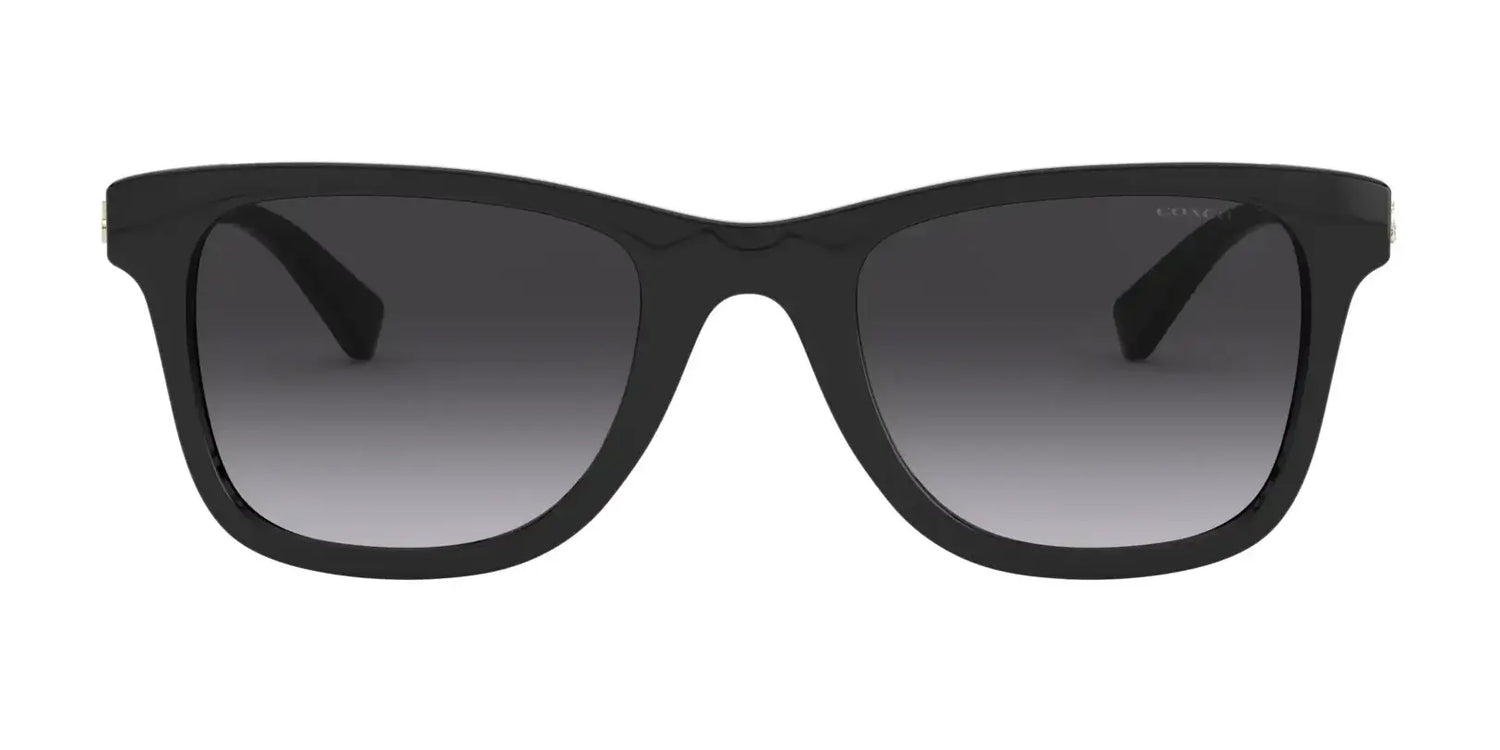 Coach L1115 HC8279U Sunglasses | Size 51 Coach L1115 HC8279U Sunglasses | Size 51