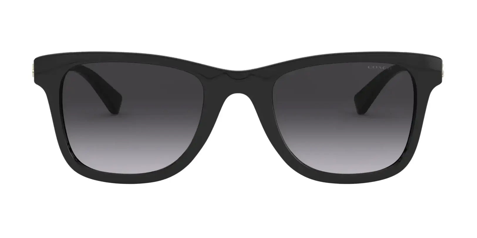 Coach L1115 HC8279U Sunglasses | Size 51 Coach L1115 HC8279U Sunglasses | Size 51