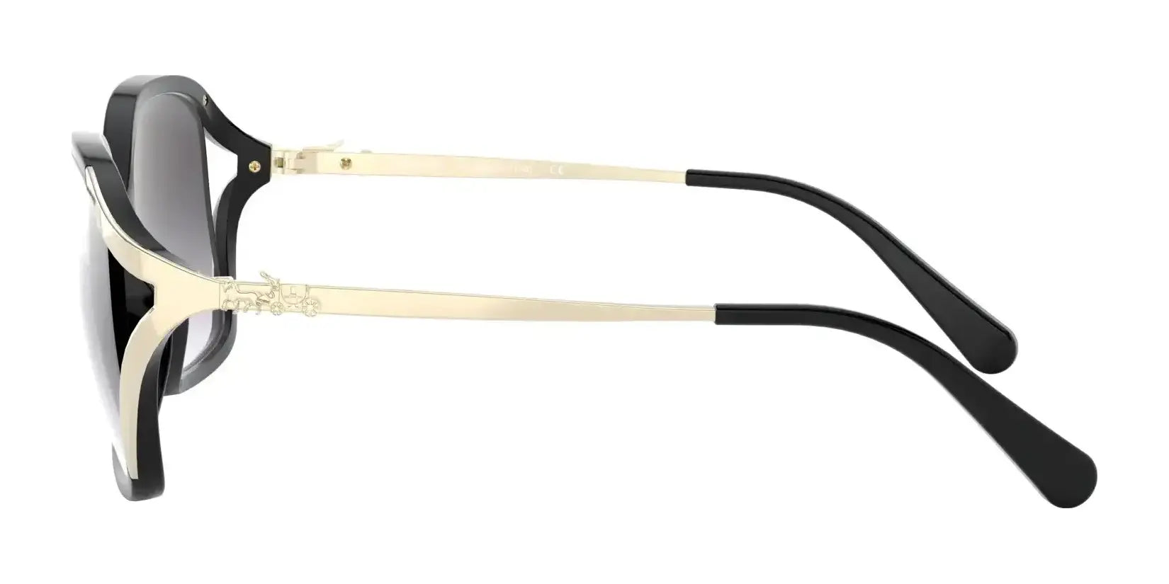 Coach L1116 HC8280U Sunglasses | Size 57 Coach L1116 HC8280U Sunglasses | Size 57