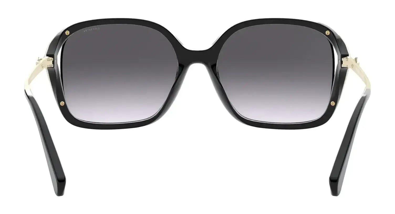 Coach L1116 HC8280U Sunglasses | Size 57 Coach L1116 HC8280U Sunglasses | Size 57