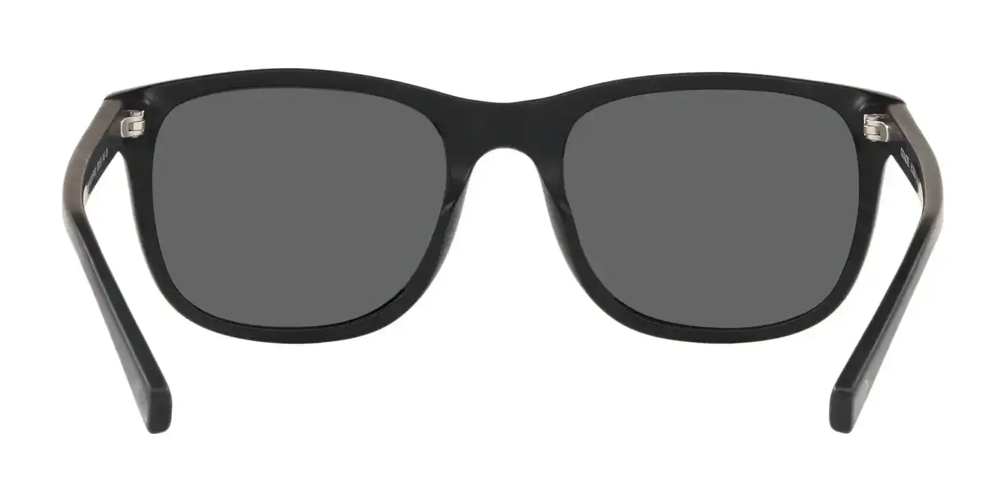 Coach L1119 HC8283U Sunglasses | Size 55 Coach L1119 HC8283U Sunglasses | Size 55