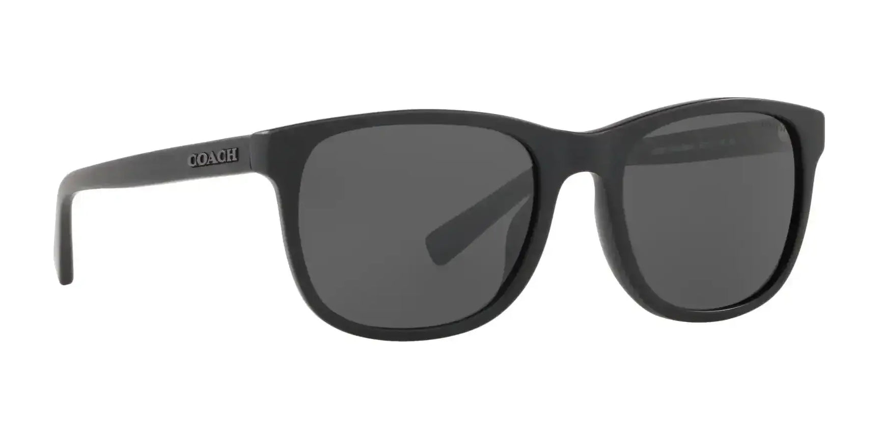 Coach L1119 HC8283U Sunglasses | Size 55 Coach L1119 HC8283U Sunglasses | Size 55