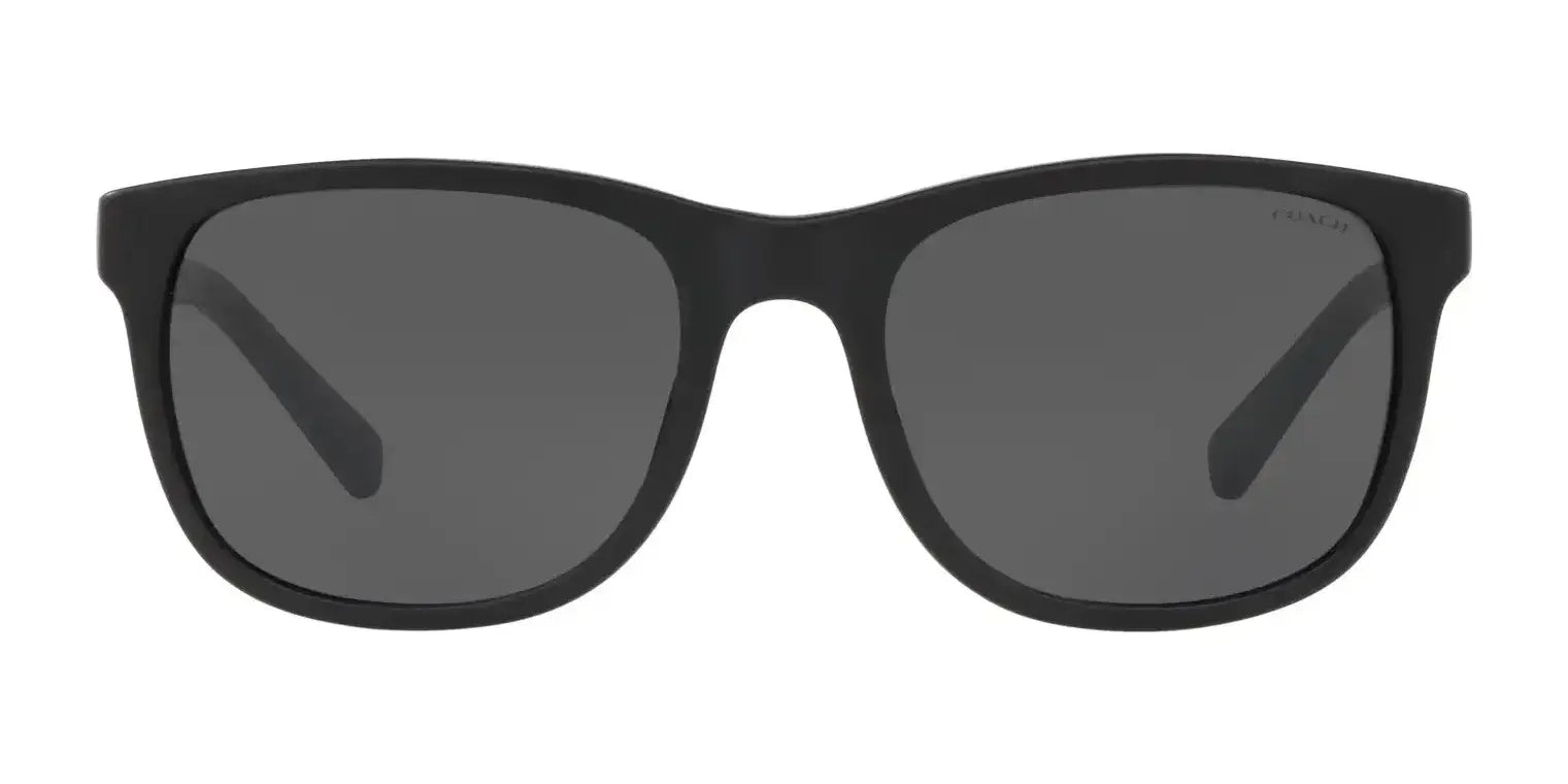 Coach L1119 HC8283U Sunglasses | Size 55 Coach L1119 HC8283U Sunglasses | Size 55