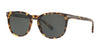 Coach L1120 HC8284 Sunglasses | Size 53 / Tokyo Tortoise №517171 / Dark Green (3N 12.9%)