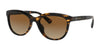 Coach L1137 HC8285U Sunglasses | Size 56 / Dark Tortoise / Brown Gradient (Polarized) (2P 19%) №5120T5