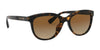 Coach L1137 HC8285U Sunglasses | Size 56 / Black / Light Grey Gradient Dark Grey (Polarized) (3P 12%) №5002T3