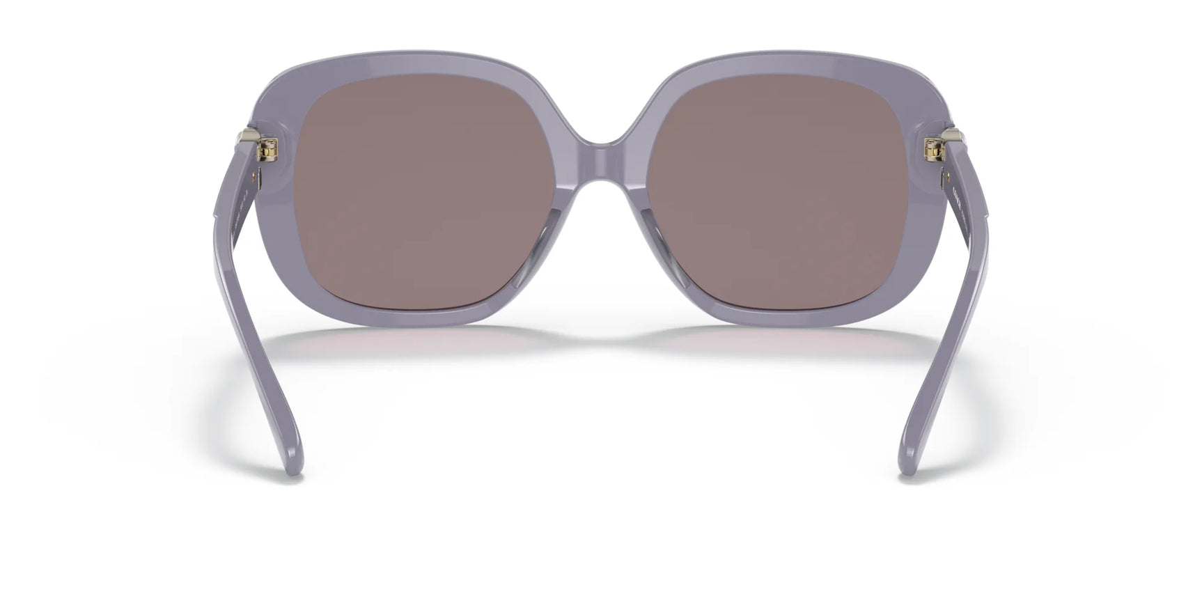 Coach L1138 HC8292F Sunglasses | Size 56 Coach L1138 HC8292F Sunglasses | Size 56