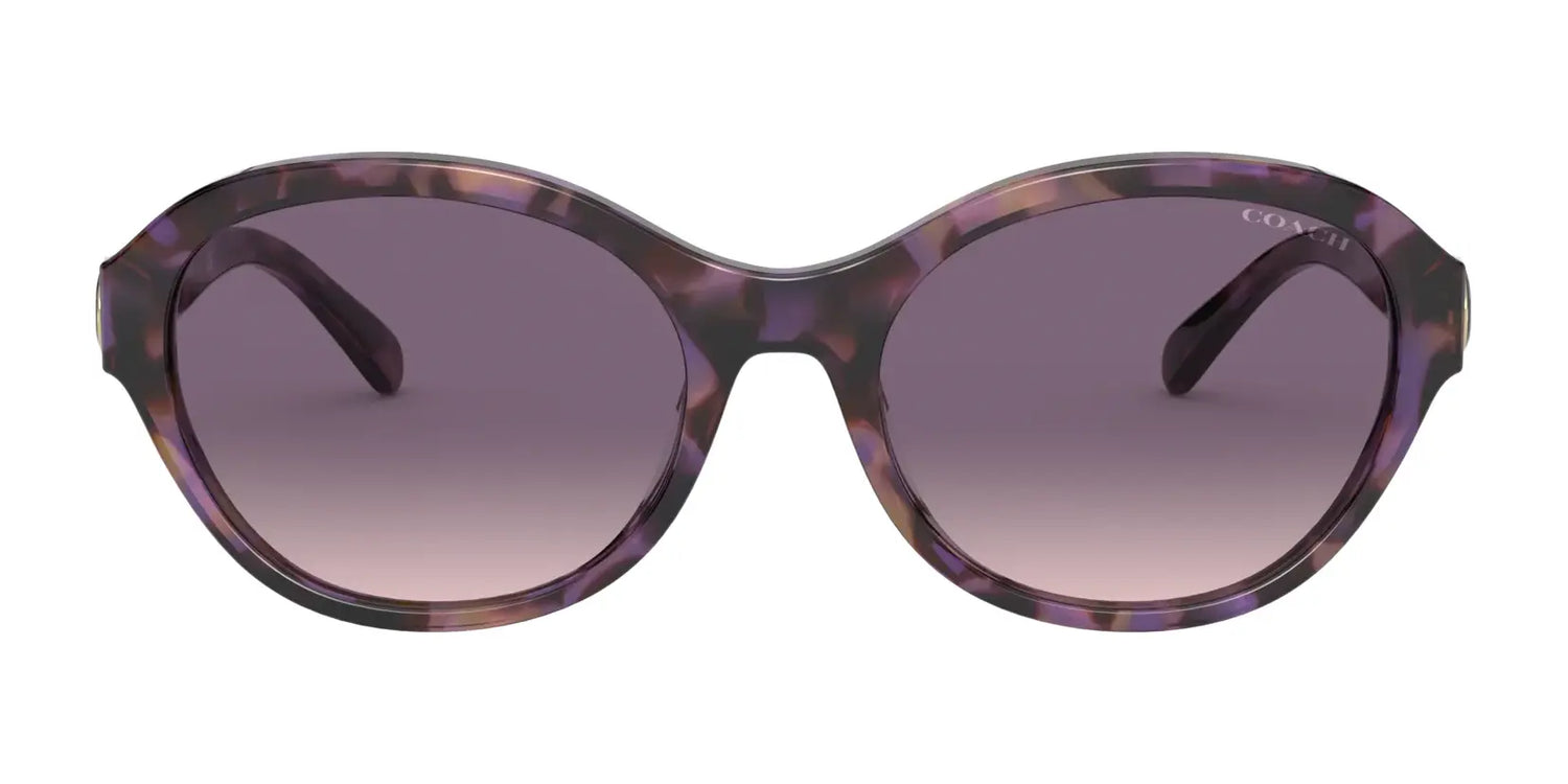 Coach L1139 HC8293F Sunglasses | Size 57 Coach L1139 HC8293F Sunglasses | Size 57