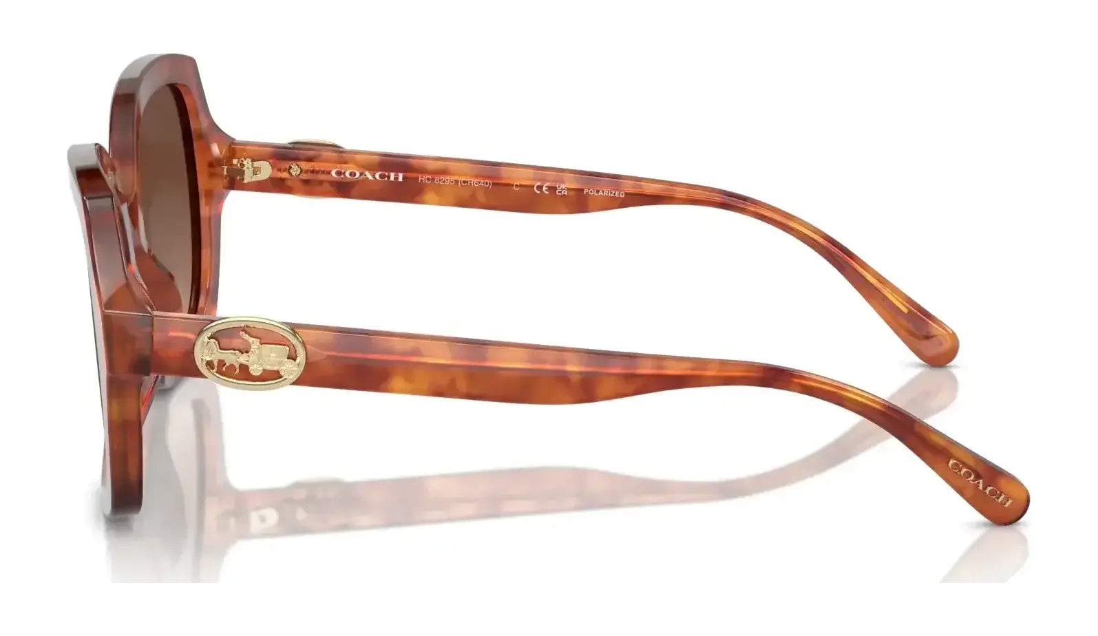 Coach L1147 HC8295 Sunglasses | Size 56 Coach L1147 HC8295 Sunglasses | Size 56