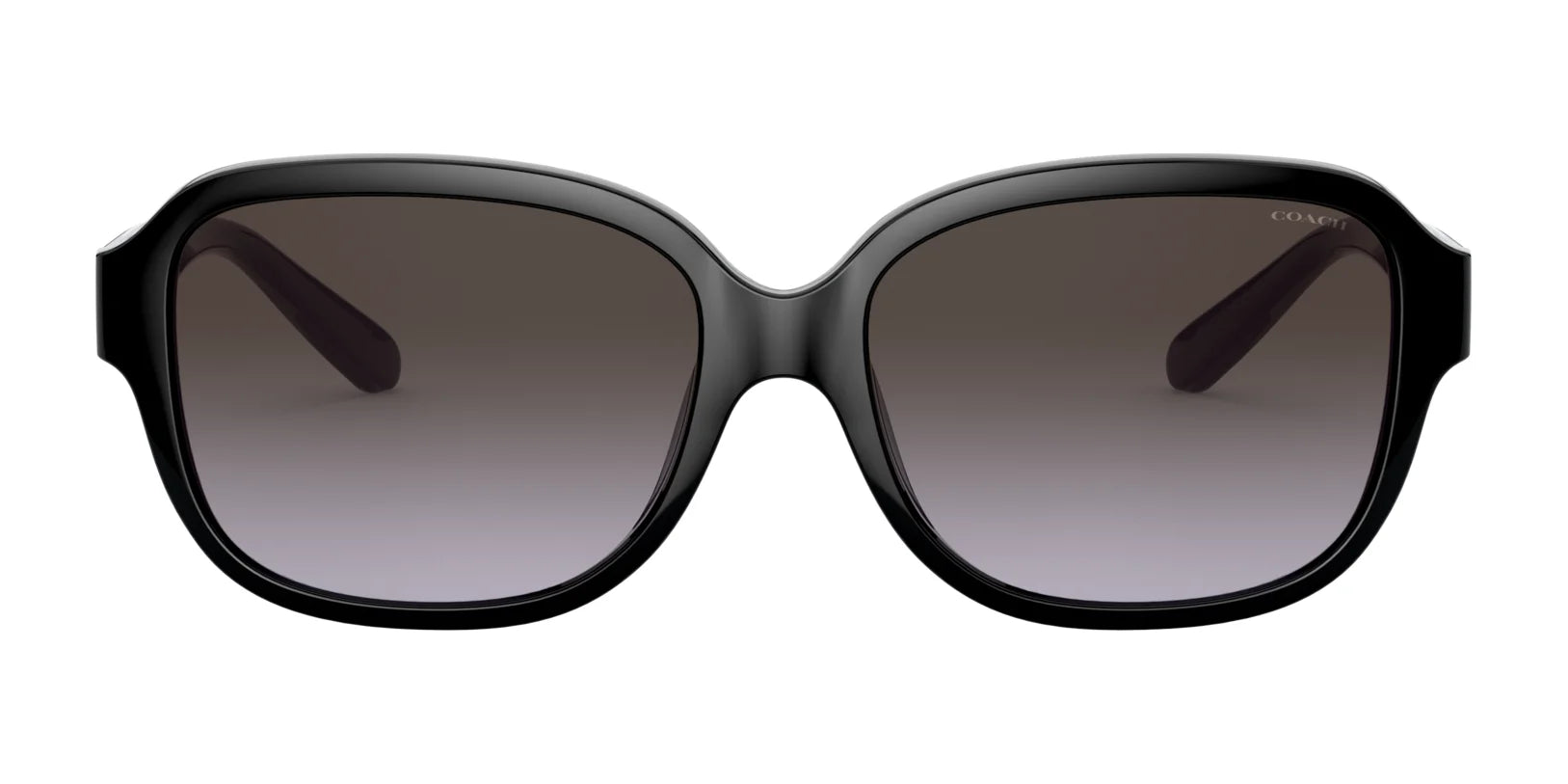 Coach L1153 HC8298U Sunglasses | Size 57 Coach L1153 HC8298U Sunglasses | Size 57