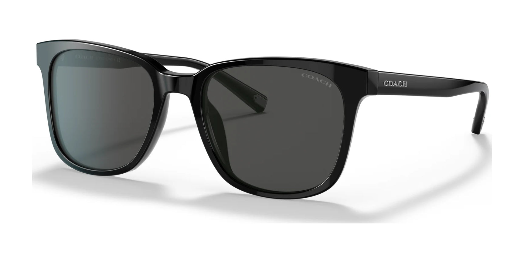 Coach C2095 HC8313U Sunglasses | Size 54 Coach C2095 HC8313U Sunglasses | Size 54