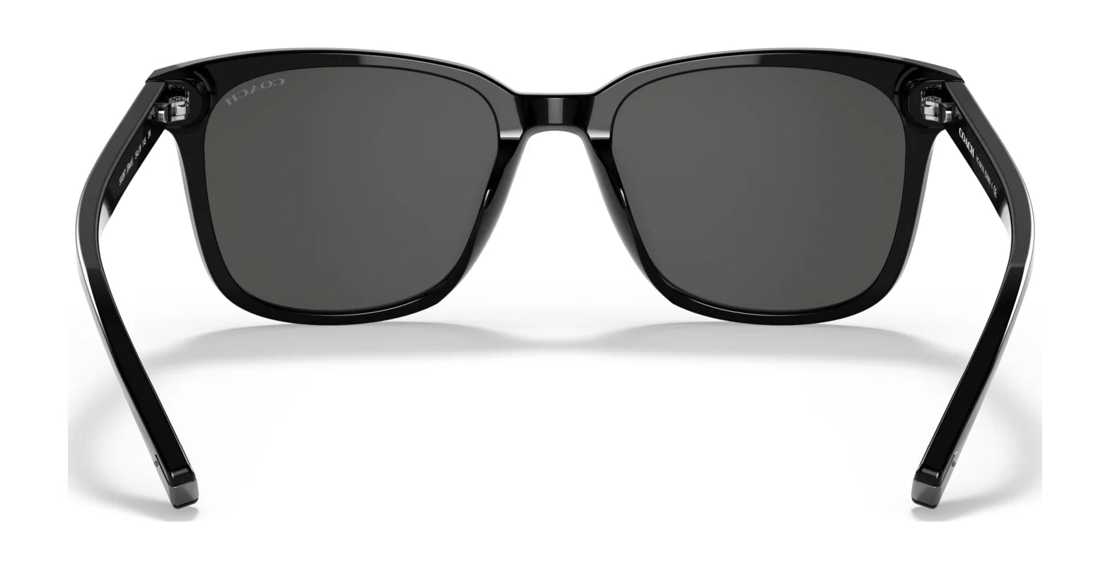 Coach C2095 HC8313U Sunglasses | Size 54 Coach C2095 HC8313U Sunglasses | Size 54