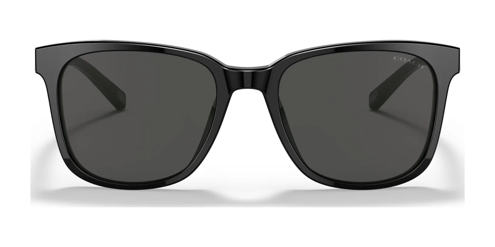 Coach C2095 HC8313U Sunglasses | Size 54 Coach C2095 HC8313U Sunglasses | Size 54