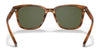 Coach C2095 HC8313U Sunglasses | Size 54 / Amber Horn №558171 / Dark Green Solid (3N 9.4%)