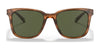 Coach C2095 HC8313U Sunglasses | Size 54 / Amber Horn №558171 / Dark Green Solid (3N 9.4%)