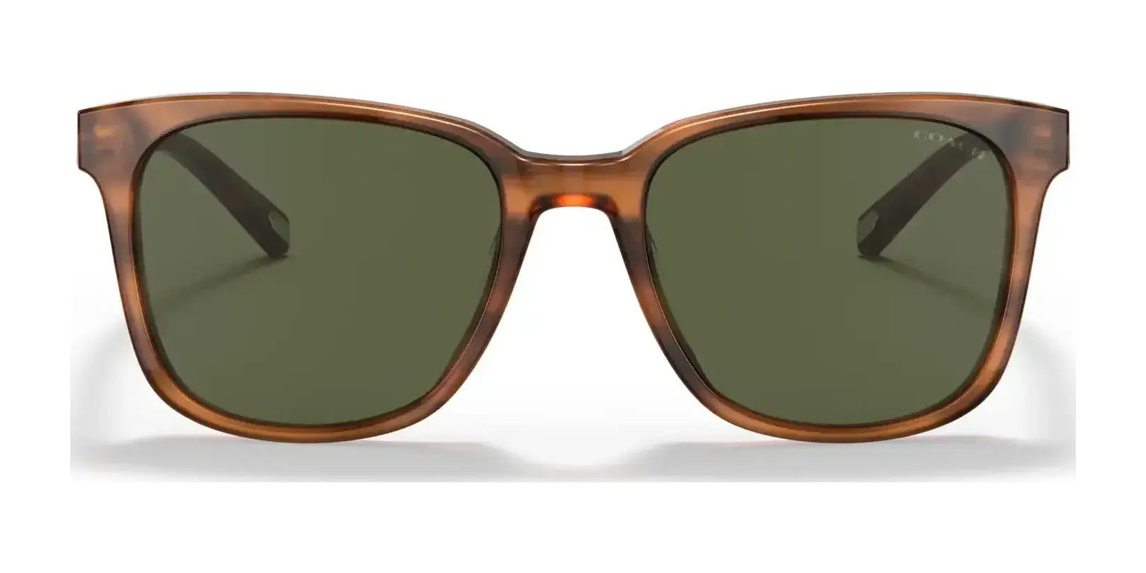 Coach C2095 HC8313U Sunglasses | Size 54 Coach C2095 HC8313U Sunglasses | Size 54