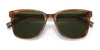 Coach C2095 HC8313U Sunglasses | Size 54 / Amber Horn №558171 / Dark Green Solid (3N 9.4%)