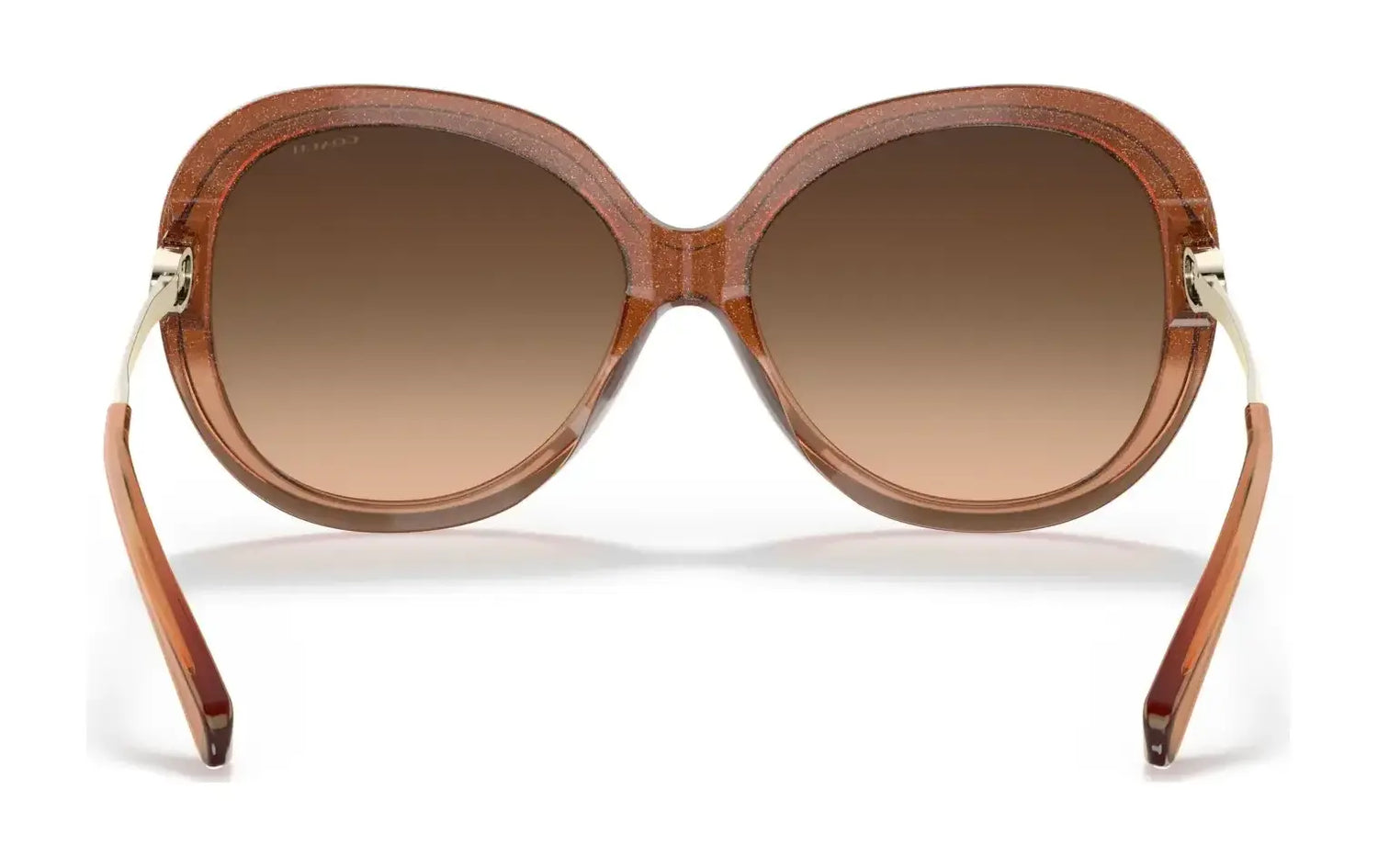 Coach C3484 HC8314F Sunglasses | Size 59 Coach C3484 HC8314F Sunglasses | Size 59