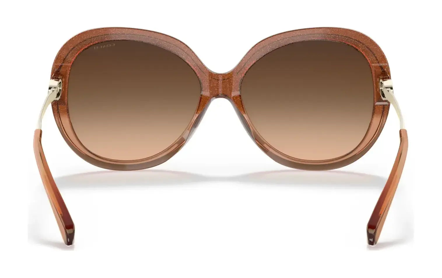 Coach C3484 HC8314F Sunglasses | Size 59 Coach C3484 HC8314F Sunglasses | Size 59