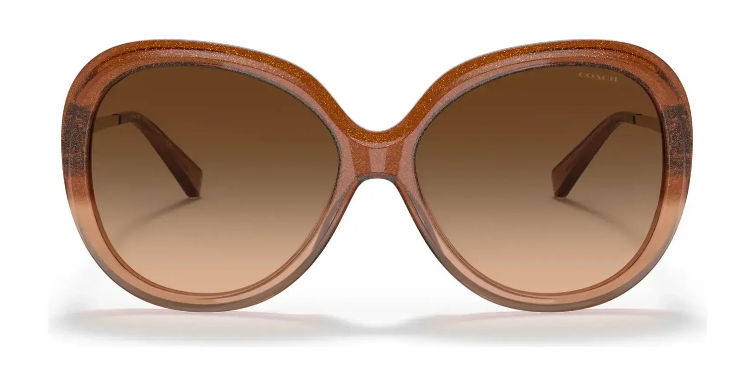 Coach C3484 HC8314F Sunglasses | Size 59 Coach C3484 HC8314F Sunglasses | Size 59