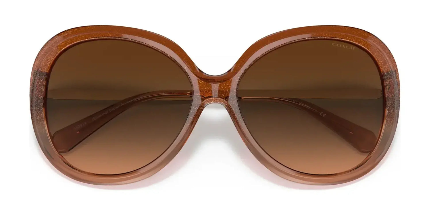 Coach C3484 HC8314F Sunglasses | Size 59 Coach C3484 HC8314F Sunglasses | Size 59