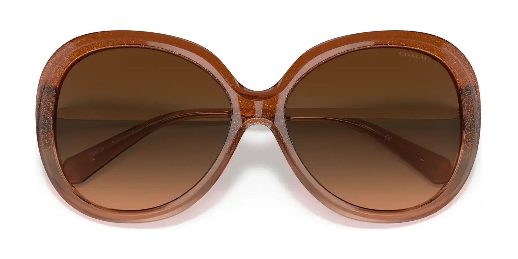 Coach C3484 HC8314F Sunglasses | Size 59 Coach C3484 HC8314F Sunglasses | Size 59