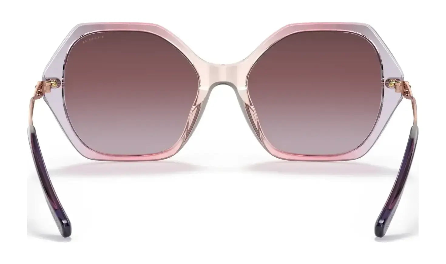 Coach C3445 HC8315 Sunglasses | Size 57 Coach C3445 HC8315 Sunglasses | Size 57