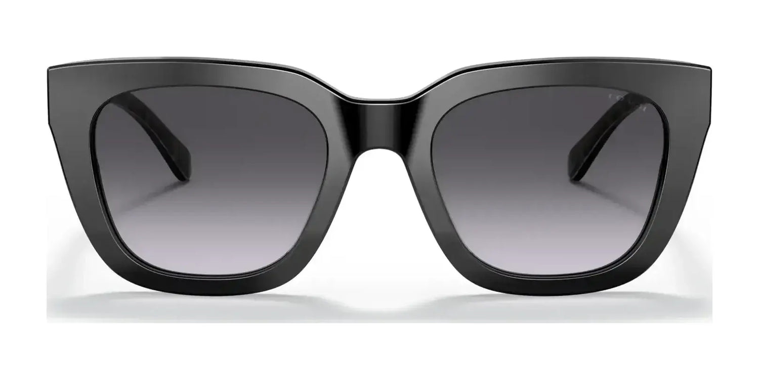 Coach C3503 HC8318F Sunglasses | Size 54 Coach C3503 HC8318F Sunglasses | Size 54
