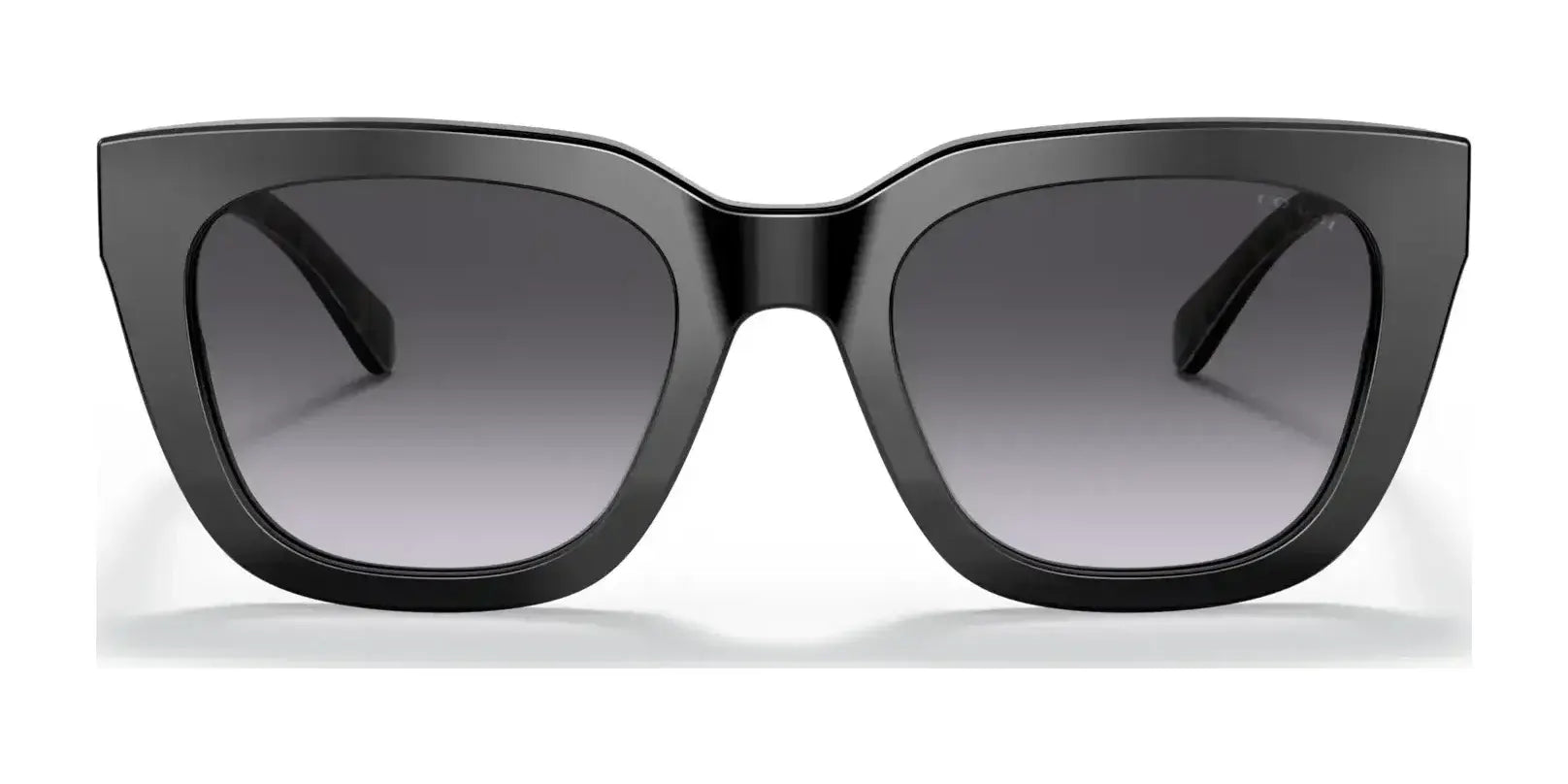 Coach C3503 HC8318F Sunglasses | Size 54 Coach C3503 HC8318F Sunglasses | Size 54