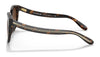 Coach C6181 HC8321 Sunglasses | Size 55 / Dark Tortoise / Brown Gradient (3N 16%) №51203B