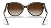 Coach C6181 HC8321 Sunglasses | Size 55 / Dark Tortoise / Brown Gradient (3N 16%) №51203B