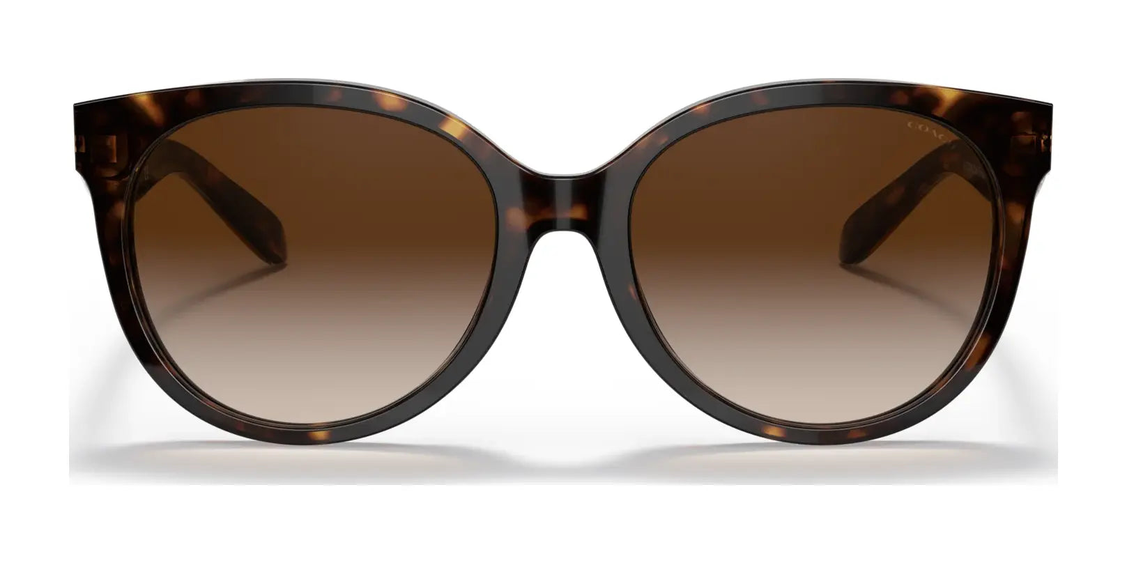 Coach C6181 HC8321 Sunglasses | Size 55 Coach C6181 HC8321 Sunglasses | Size 55