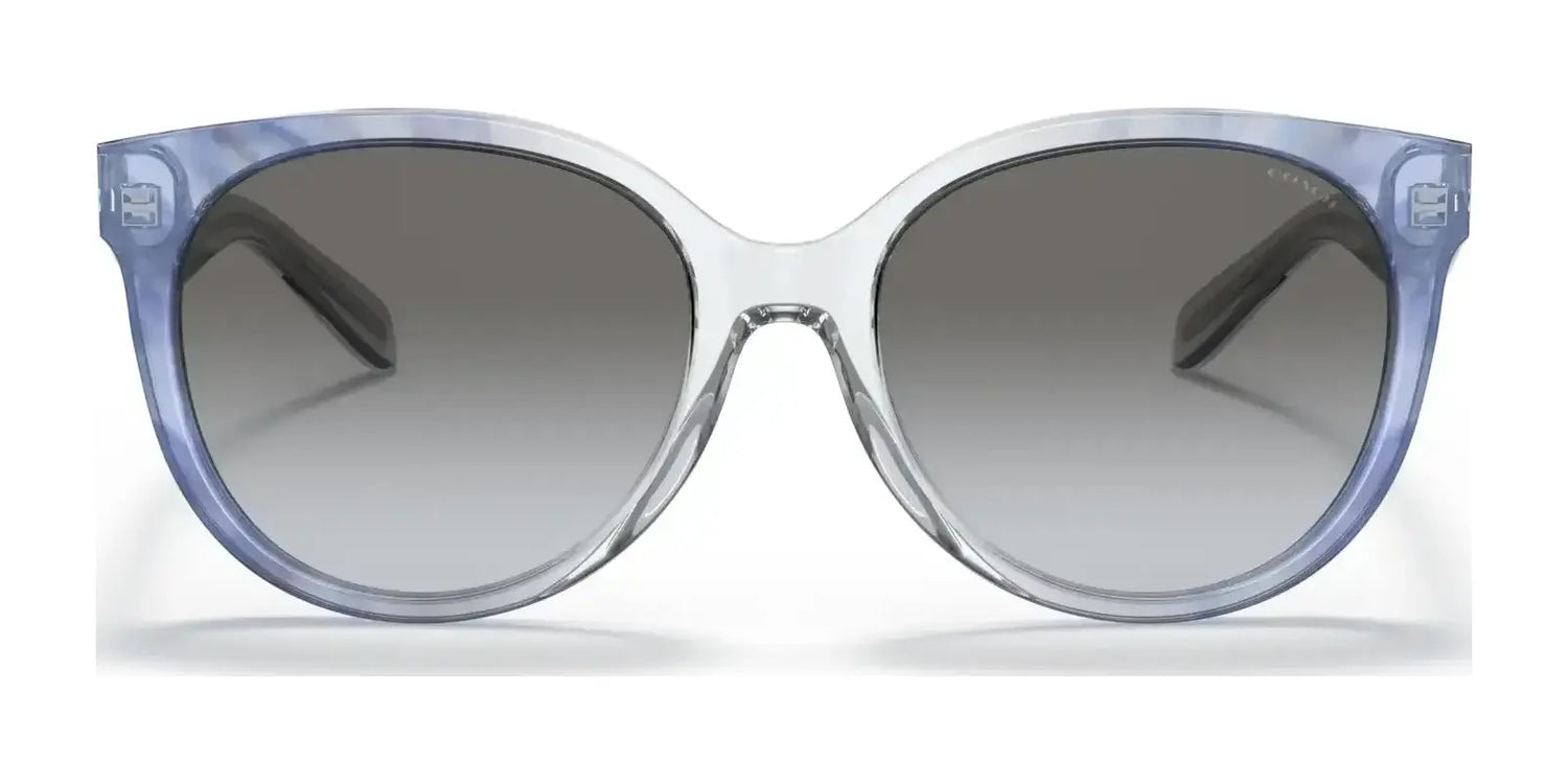 Coach C6182 HC8321F Sunglasses | Size 57 Coach C6182 HC8321F Sunglasses | Size 57