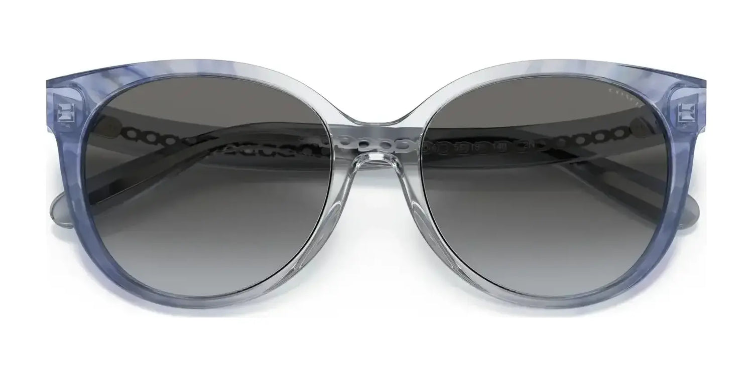 Coach C6182 HC8321F Sunglasses | Size 57 Coach C6182 HC8321F Sunglasses | Size 57
