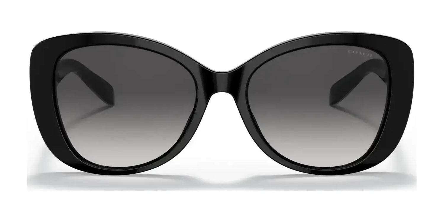 Coach C6184 HC8322F Sunglasses | Size 56 Coach C6184 HC8322F Sunglasses | Size 56