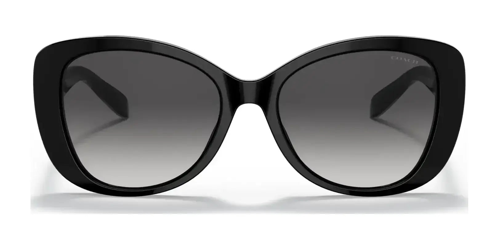 Coach C6184 HC8322F Sunglasses | Size 56 Coach C6184 HC8322F Sunglasses | Size 56