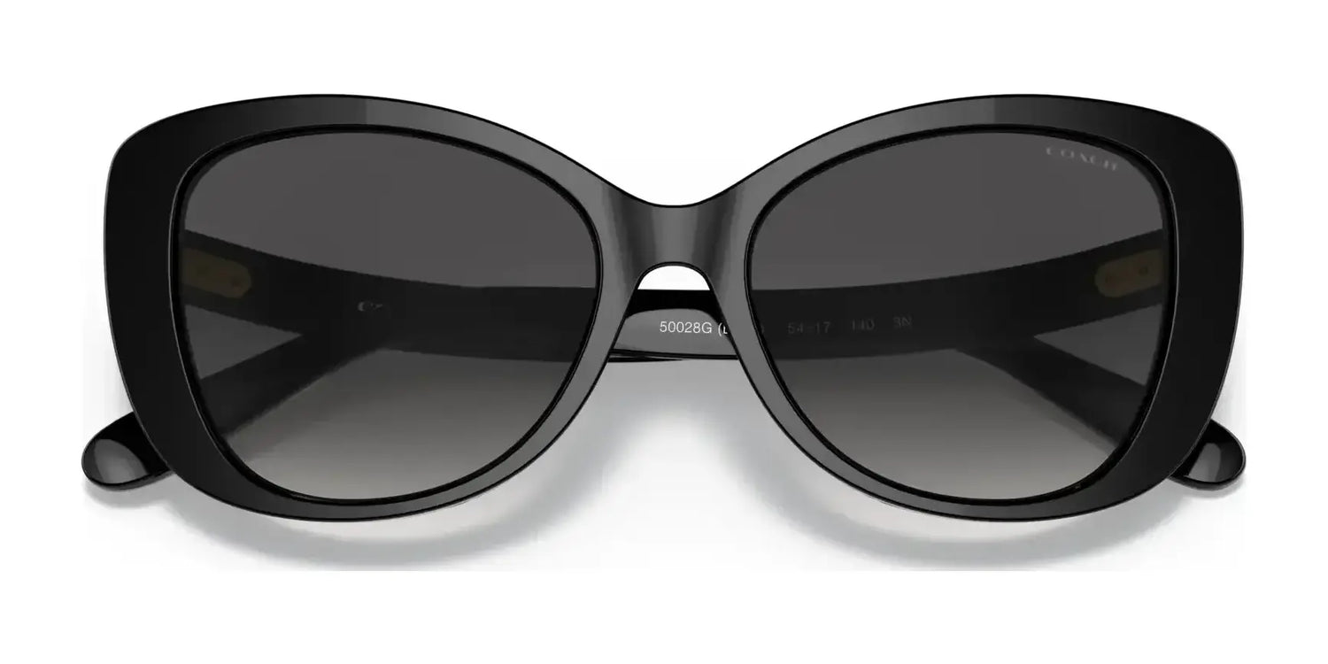 Coach C6184 HC8322F Sunglasses | Size 56 Coach C6184 HC8322F Sunglasses | Size 56
