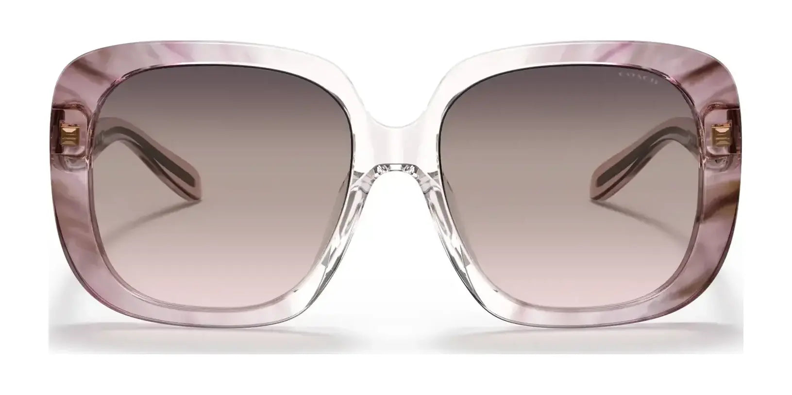 Coach C6185 HC8323U Sunglasses | Size 56 Coach C6185 HC8323U Sunglasses | Size 56