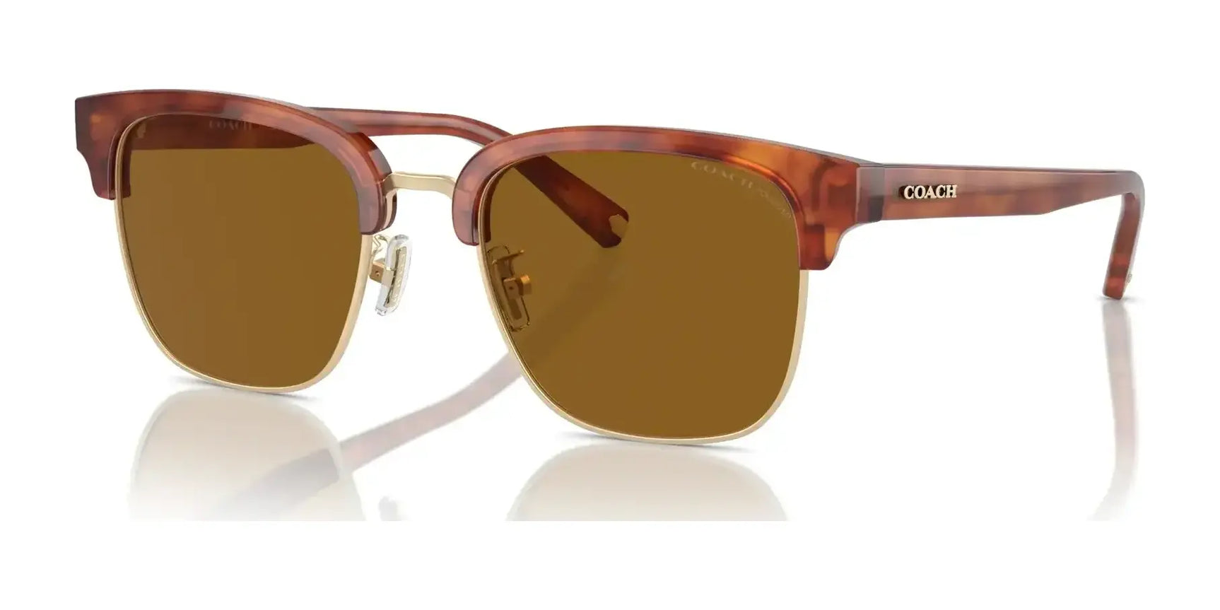 Coach C6194 HC8326 Sunglasses | Size 52 Coach C6194 HC8326 Sunglasses | Size 52