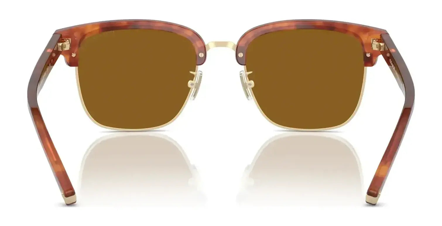 Coach C6194 HC8326 Sunglasses | Size 52 Coach C6194 HC8326 Sunglasses | Size 52