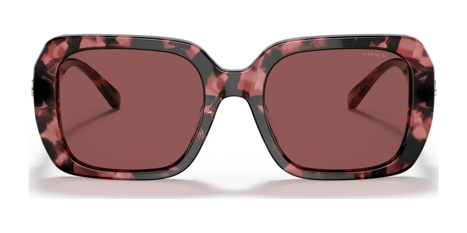Coach C6188 HC8329U Sunglasses | Size 53 Coach C6188 HC8329U Sunglasses | Size 53